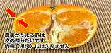 3秒で農薬を見分ける方法（果物編）