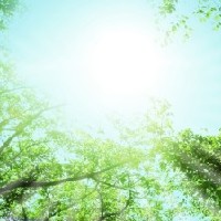 遺贈寄付（レガシーギフト）～想いを叶えるためにやっておきたいこと～